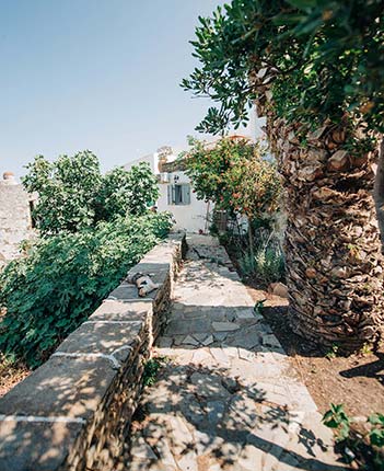 Yiayia's home στη Σίφνο